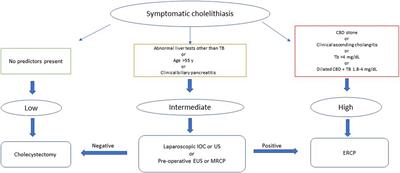 Practice patterns and adherence to society guidelines for suspected choledocholithiasis: A comparison of academic and community settings from a large US healthcare system